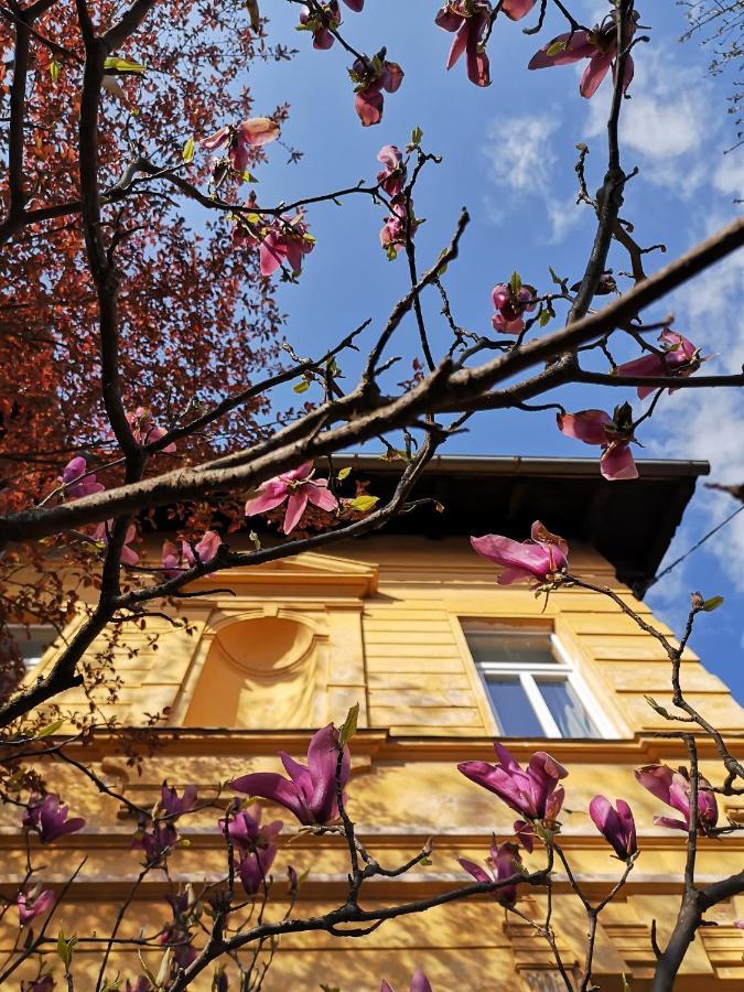 Vila Veselova, Ljubljana City Center Hostel Ngoại thất bức ảnh